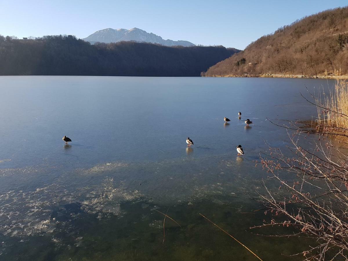 Appartamento Nido Levico Terme Dış mekan fotoğraf